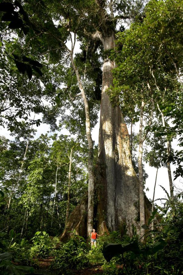 Misahualli Amazon Lodge Exteriör bild