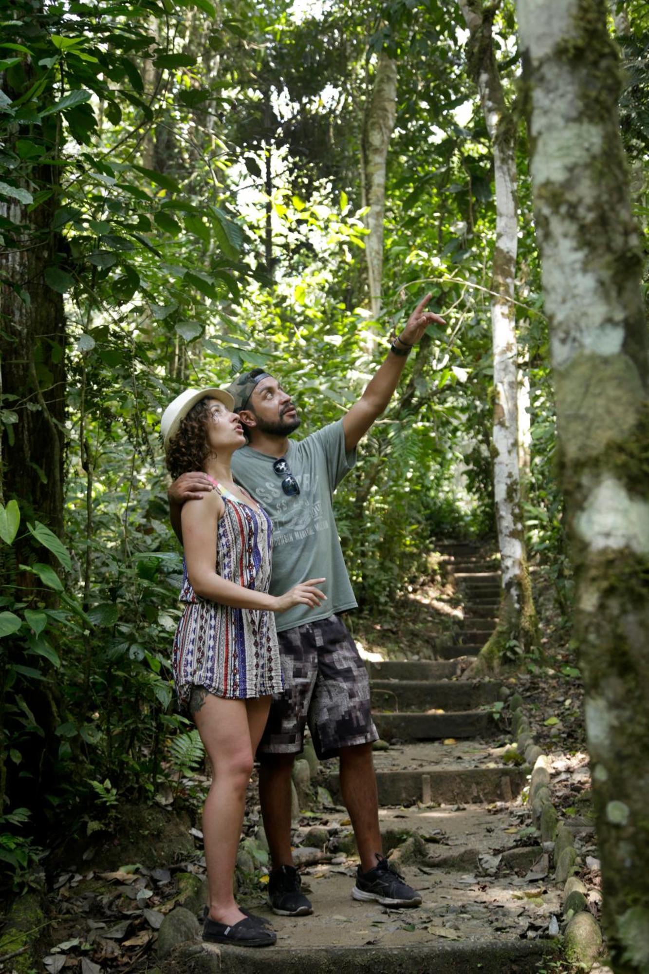 Misahualli Amazon Lodge Exteriör bild