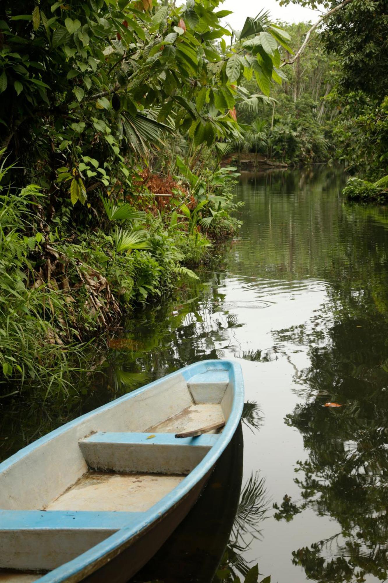 Misahualli Amazon Lodge Exteriör bild